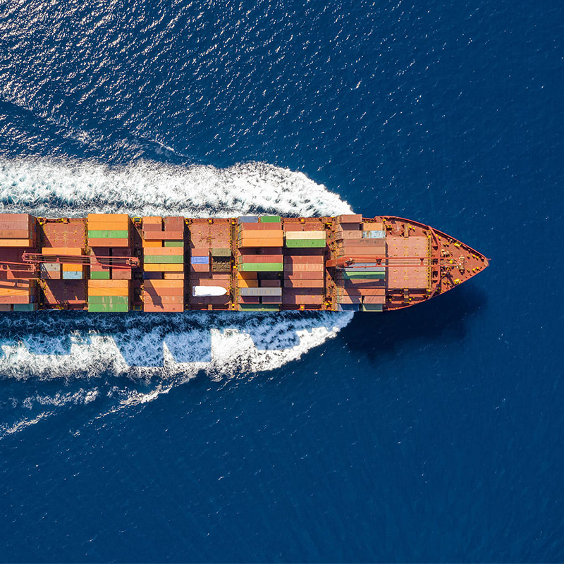 Sea Service Import& Export